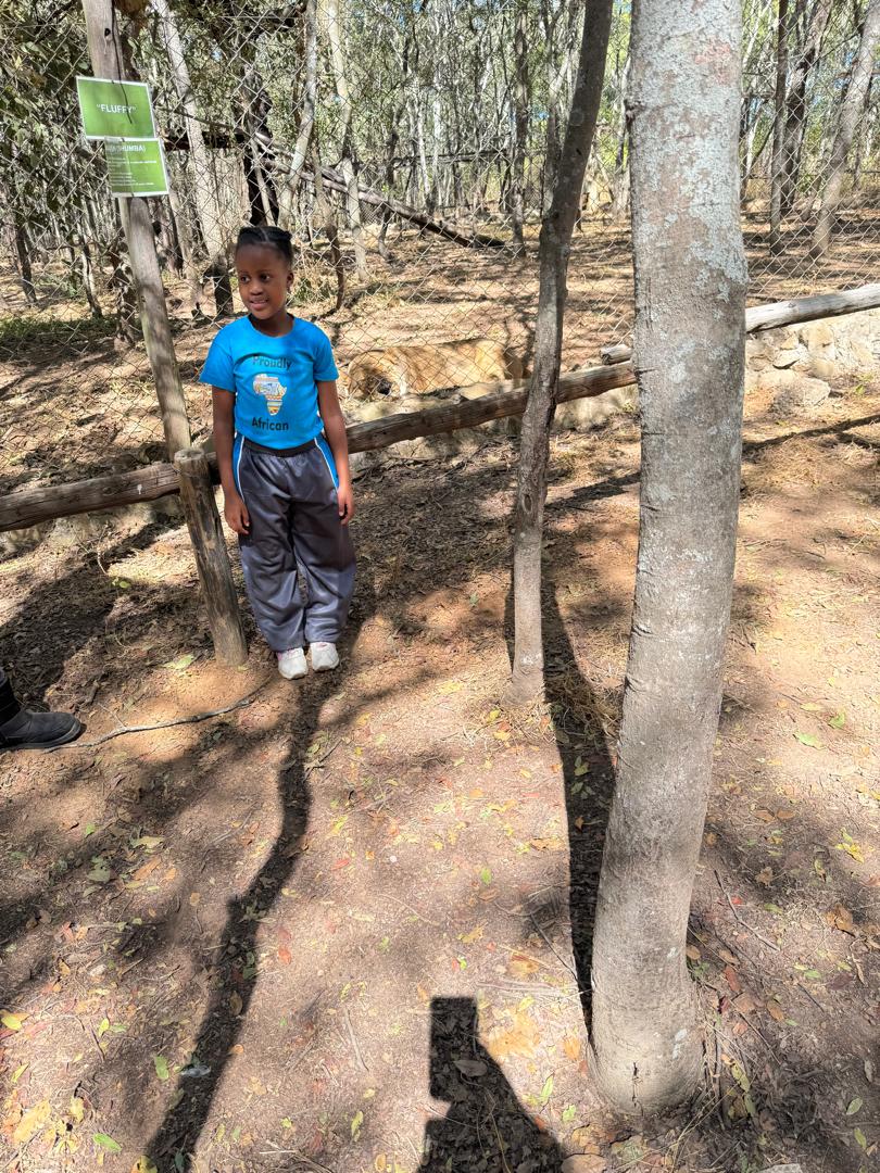 Harmony Junior School